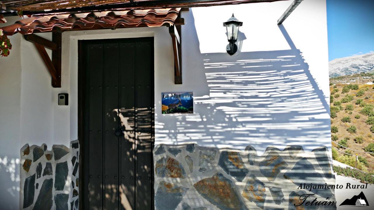 Rural Tetuan Country house *
